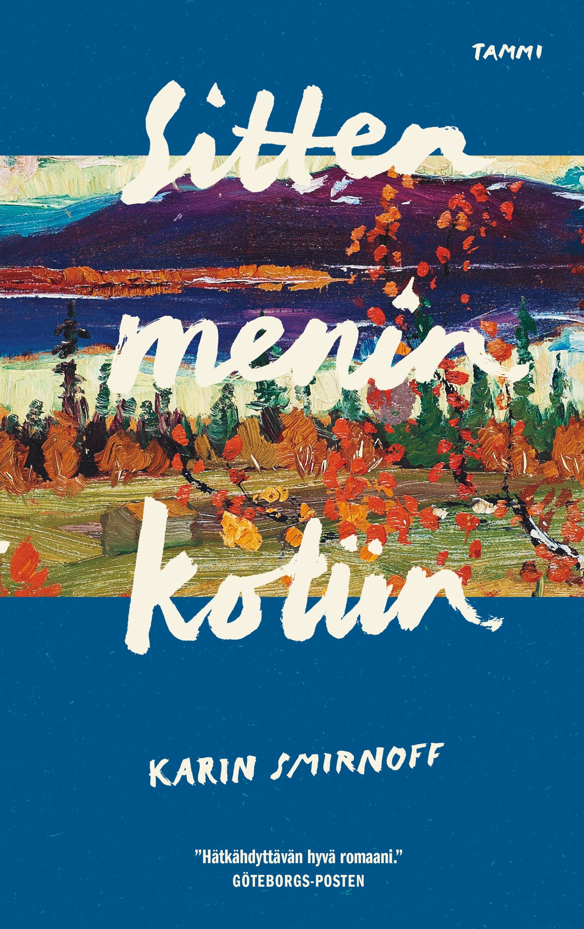 Sitten menin kotiin – E-bok