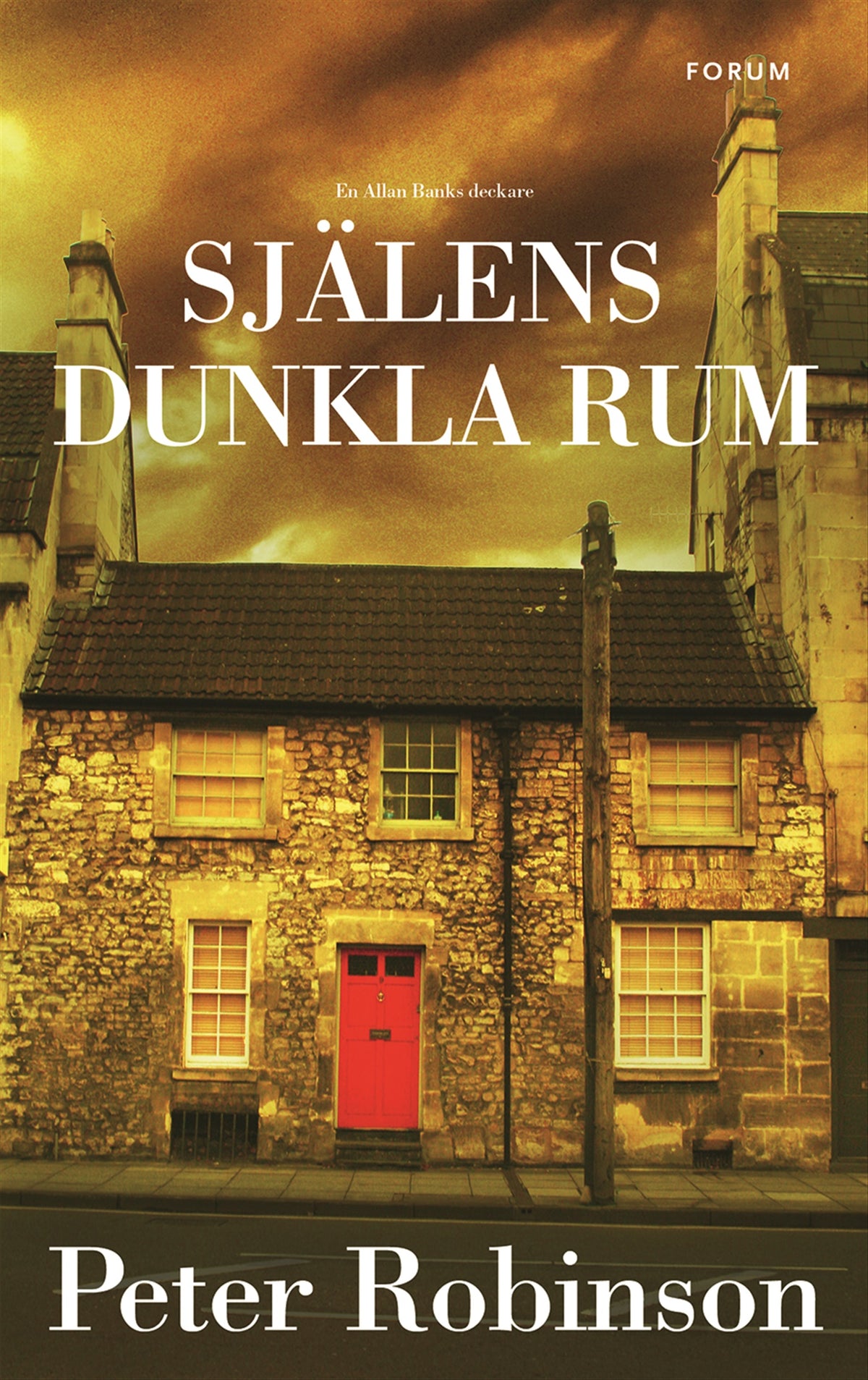 Själens dunkla rum – E-bok