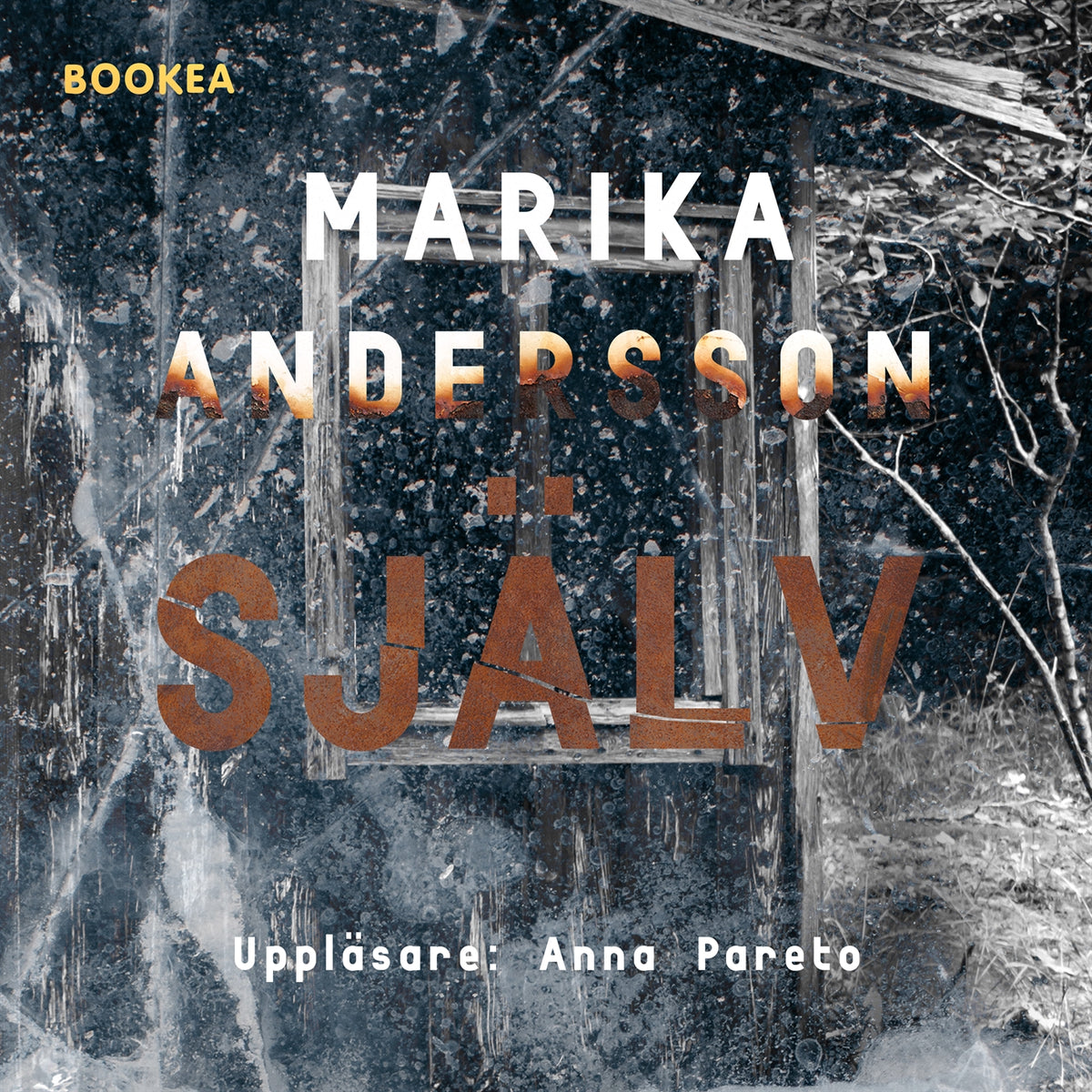 Själv – Ljudbok