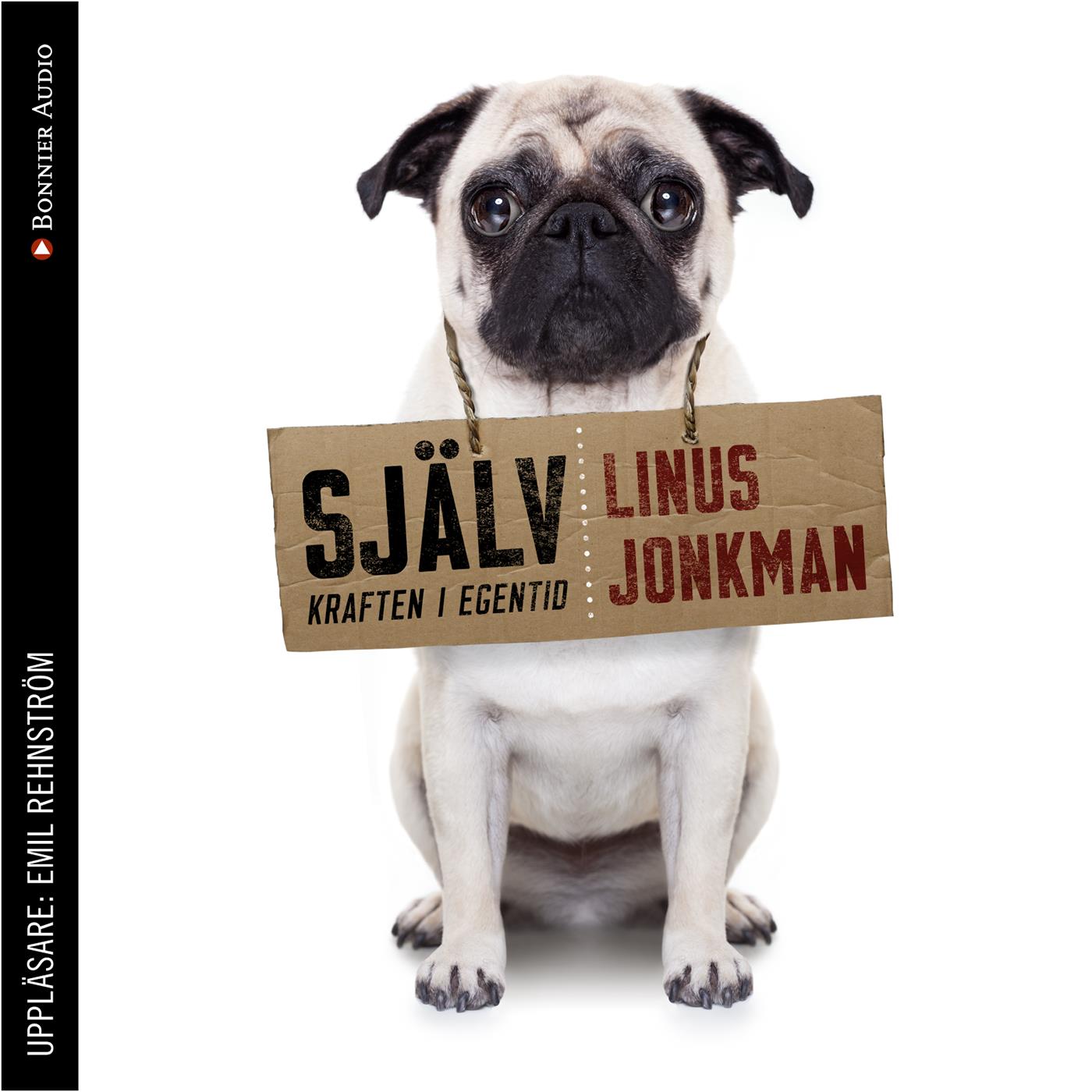 Själv : kraften i egentid – Ljudbok