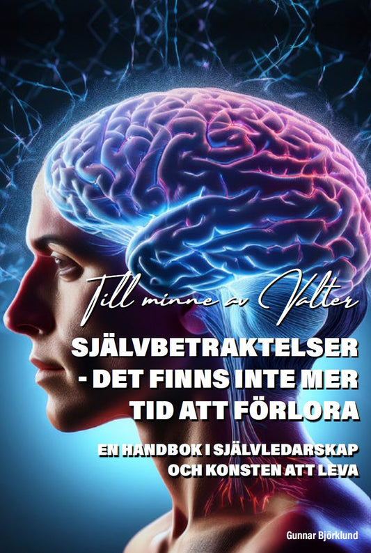 Självbetraktelser : det finns inte mer tid att förlora – E-bok