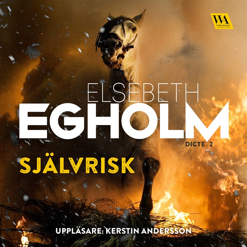 Självrisk – Ljudbok