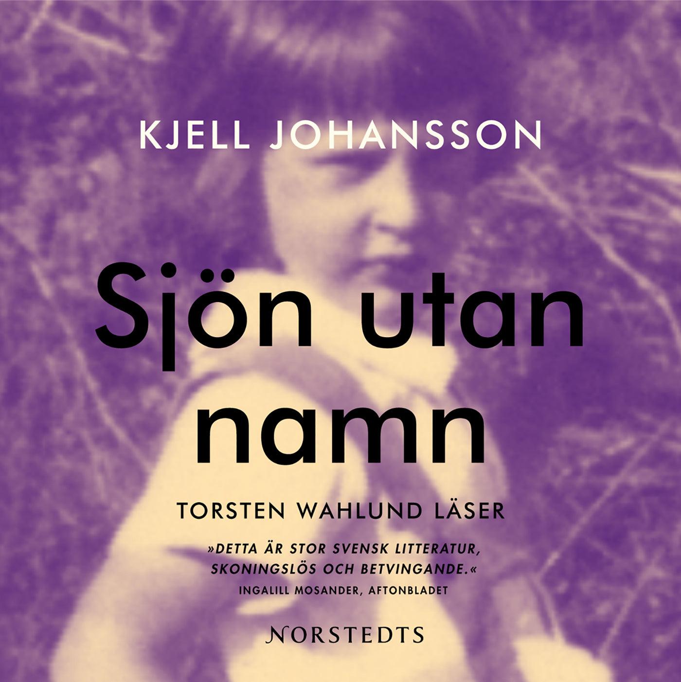 Sjön utan namn – Ljudbok