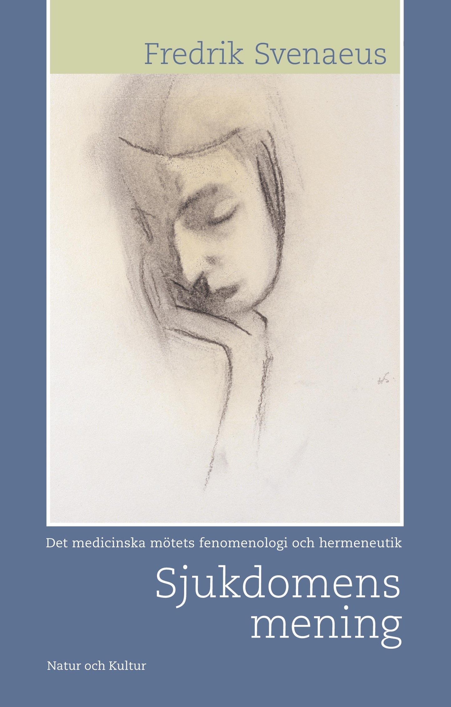 Sjukdomens mening – E-bok
