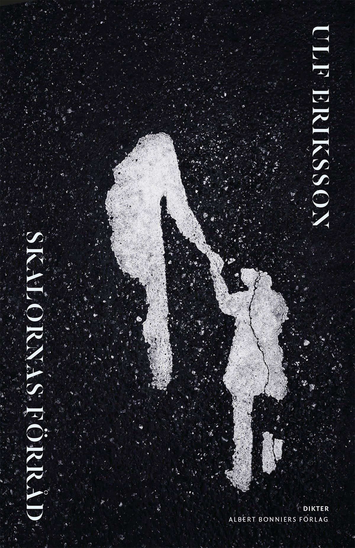 Skalornas förråd – E-bok