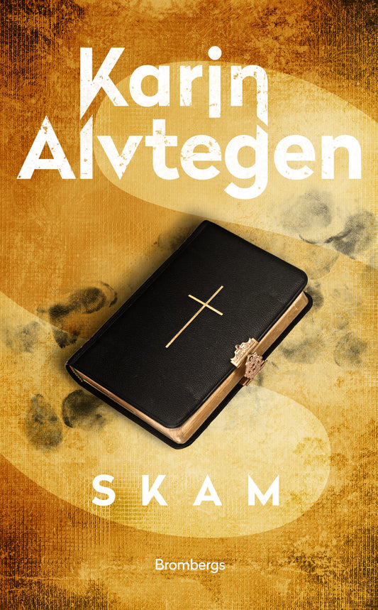 Skam – E-bok