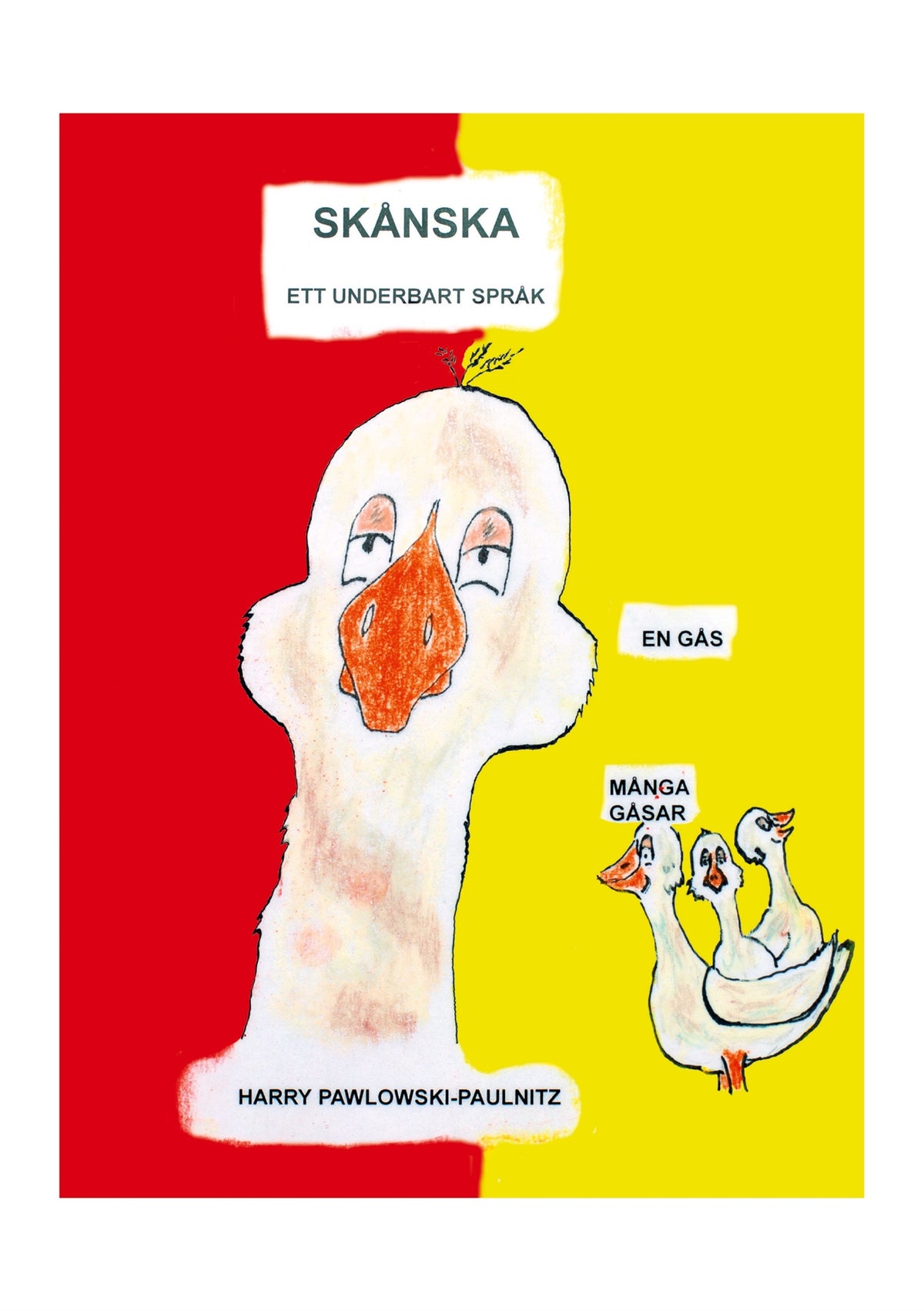 Skånska - ett underbart språk: Skånska för Dig – E-bok