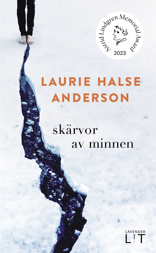 Skärvor av minnen – E-bok