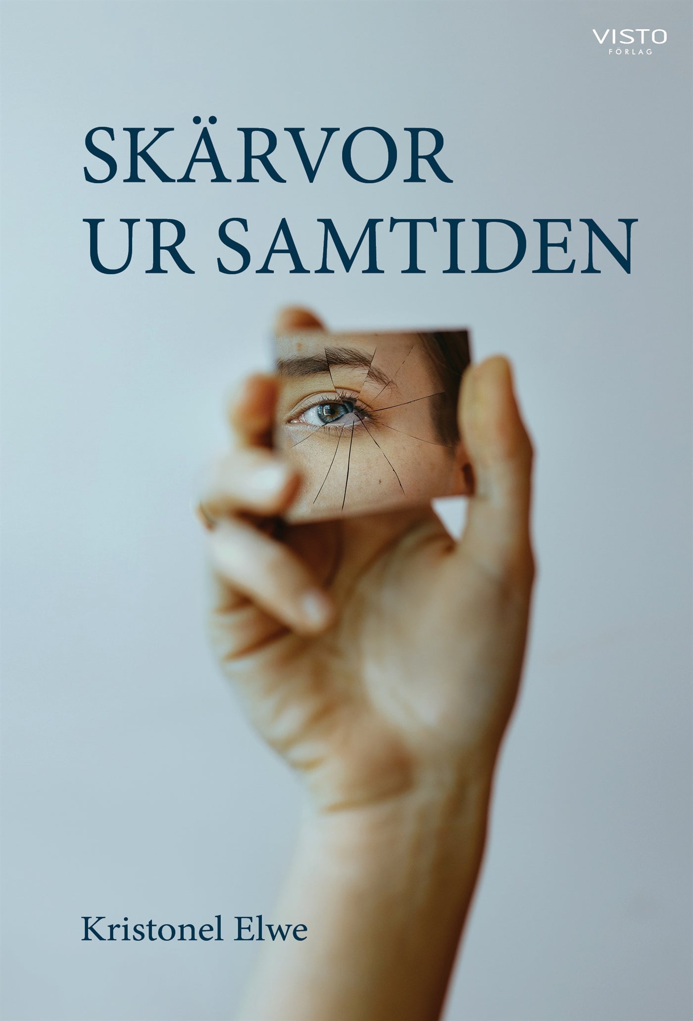 Skärvor ur samtiden – E-bok