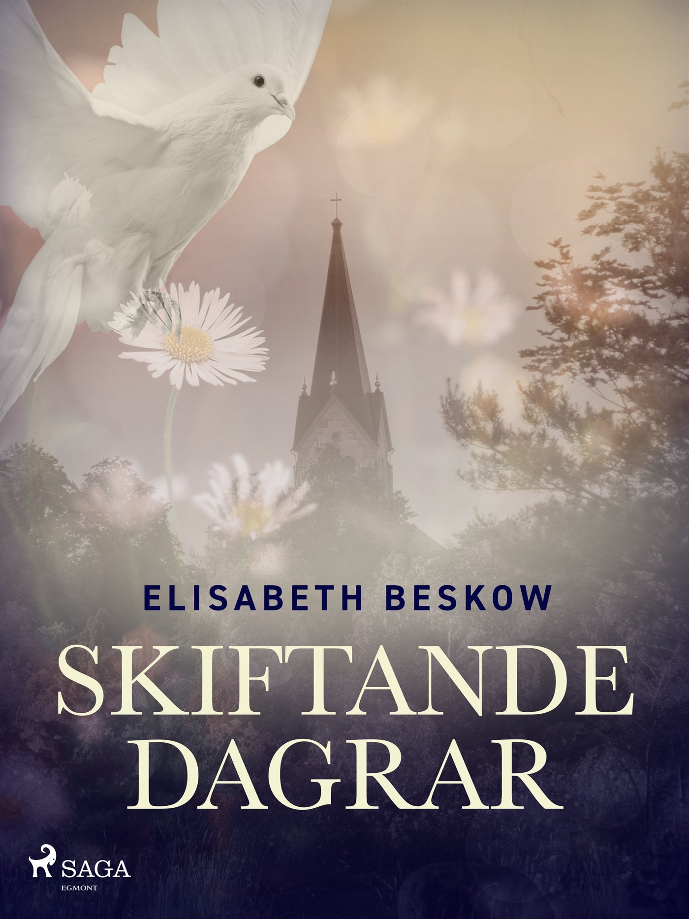 Skiftande dagrar – E-bok