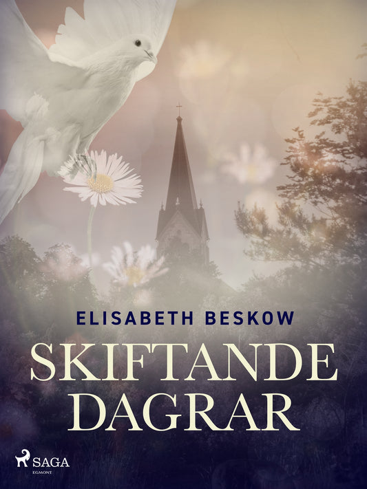 Skiftande dagrar – E-bok