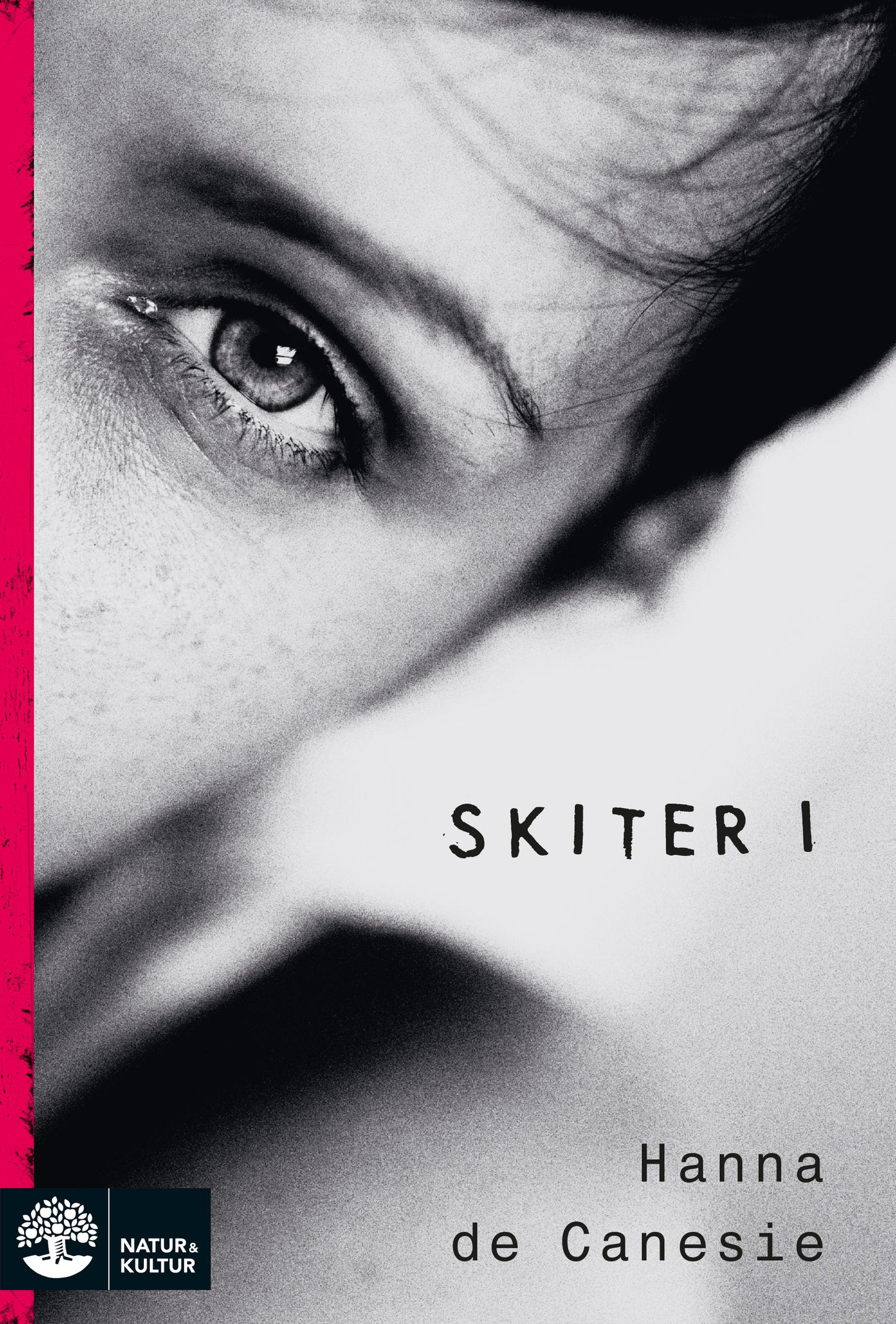 Skiter i – E-bok