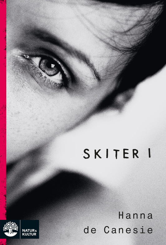 Skiter i – E-bok