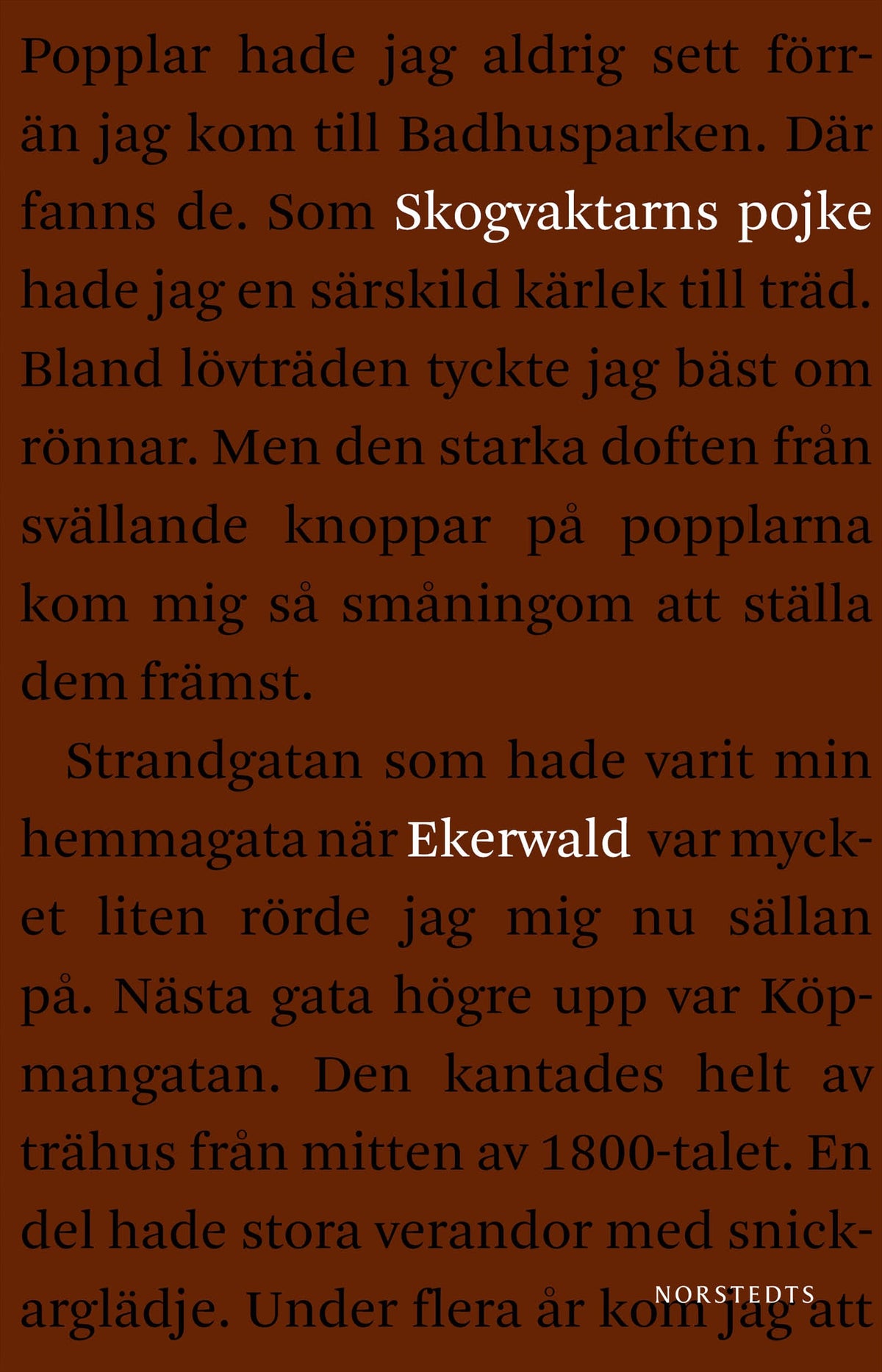 Skogvaktarns pojke : minnen – E-bok