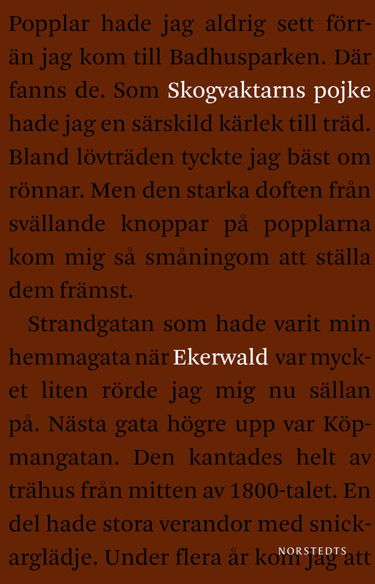 Skogvaktarns pojke : minnen – E-bok