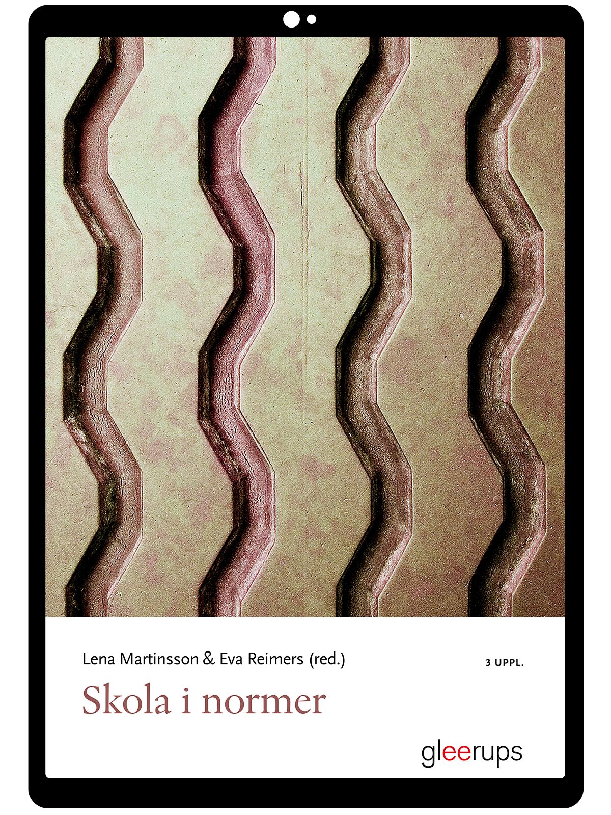 Skola i normer e-bok, 3 uppl