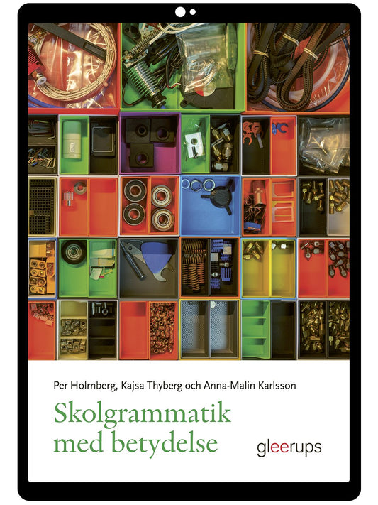 Skolgrammatik med betydelse e-bok