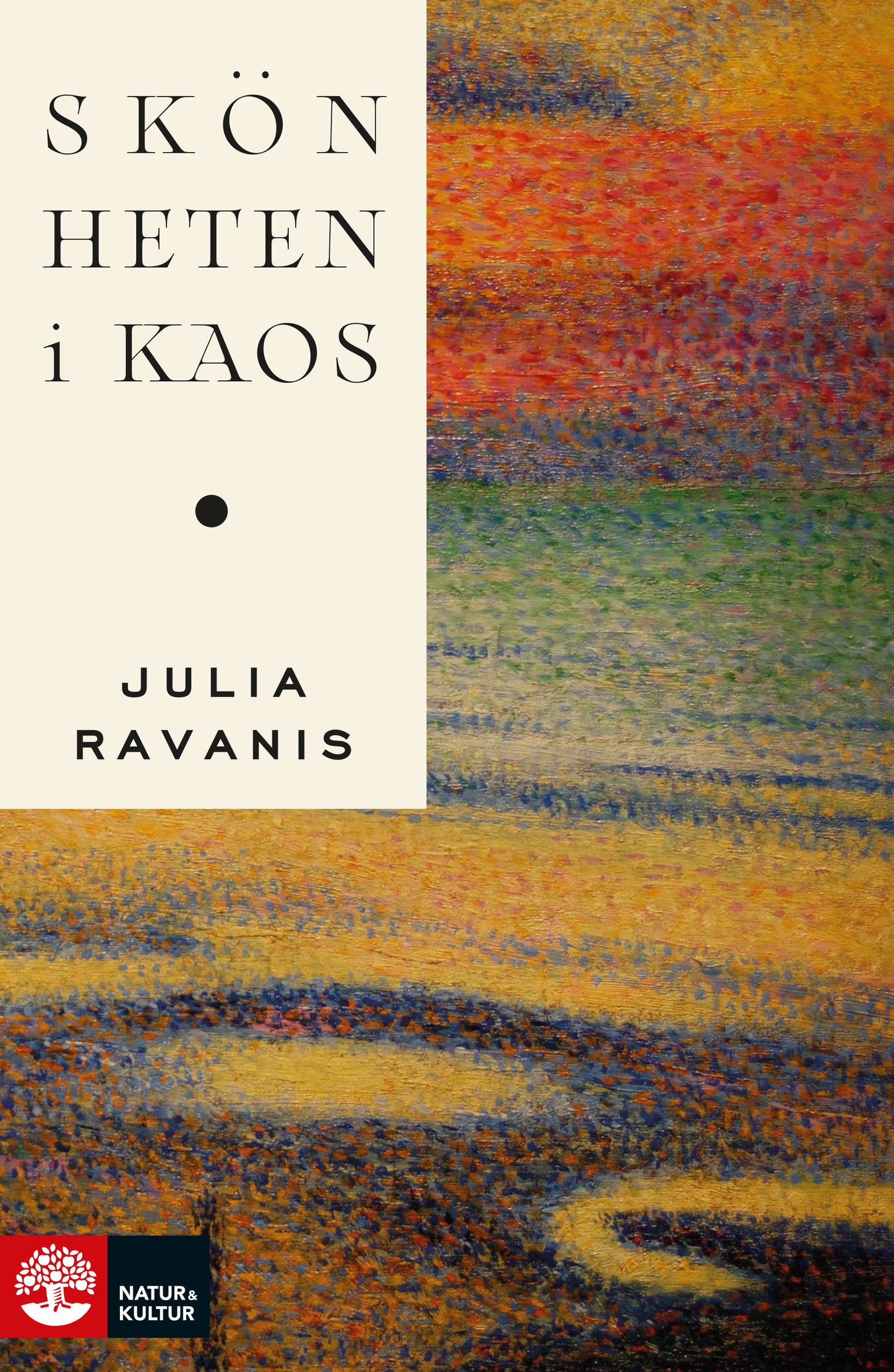 Skönheten i kaos – E-bok
