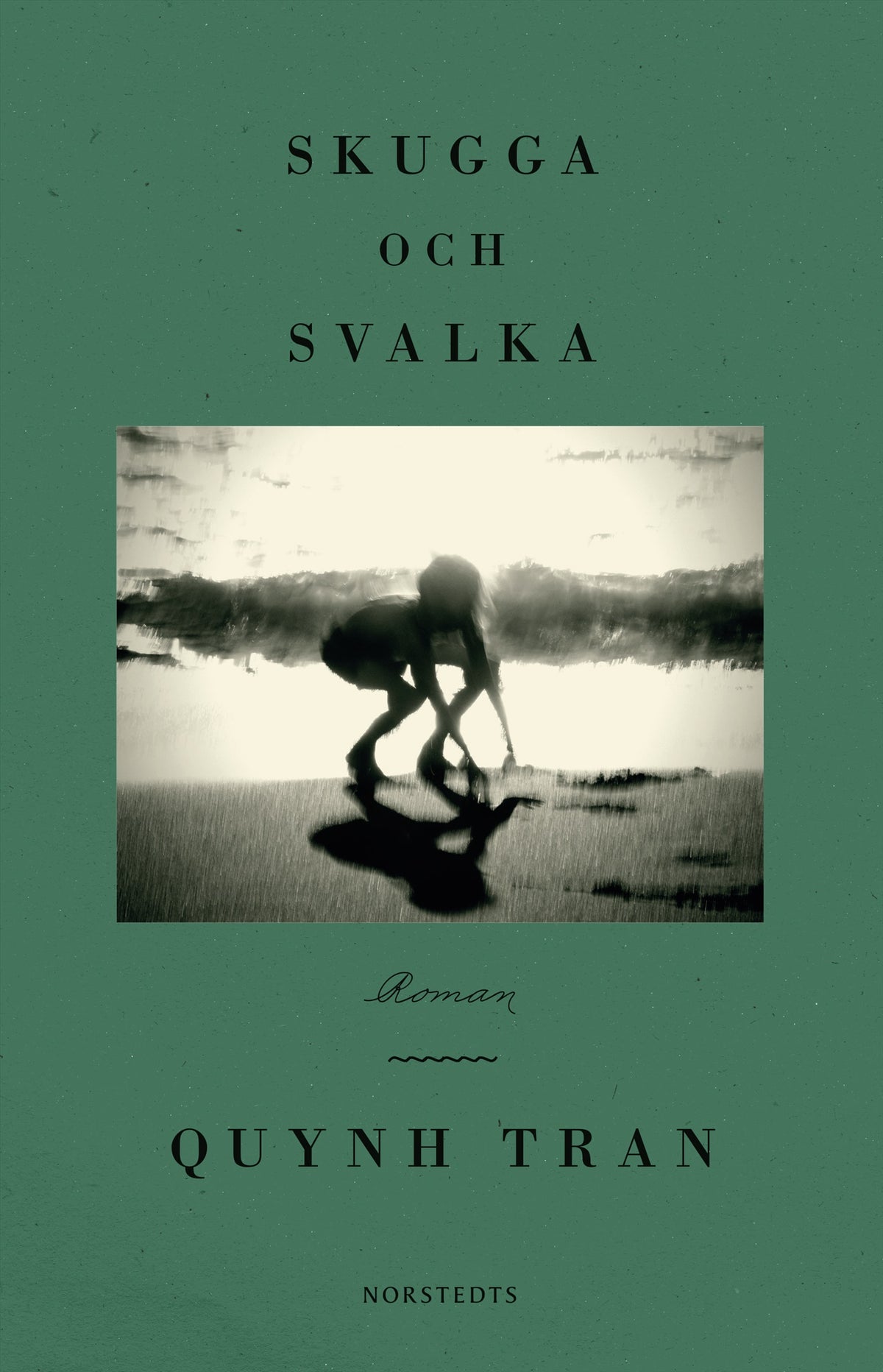 Skugga och svalka – E-bok