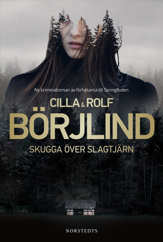 Skugga över Slagtjärn – E-bok