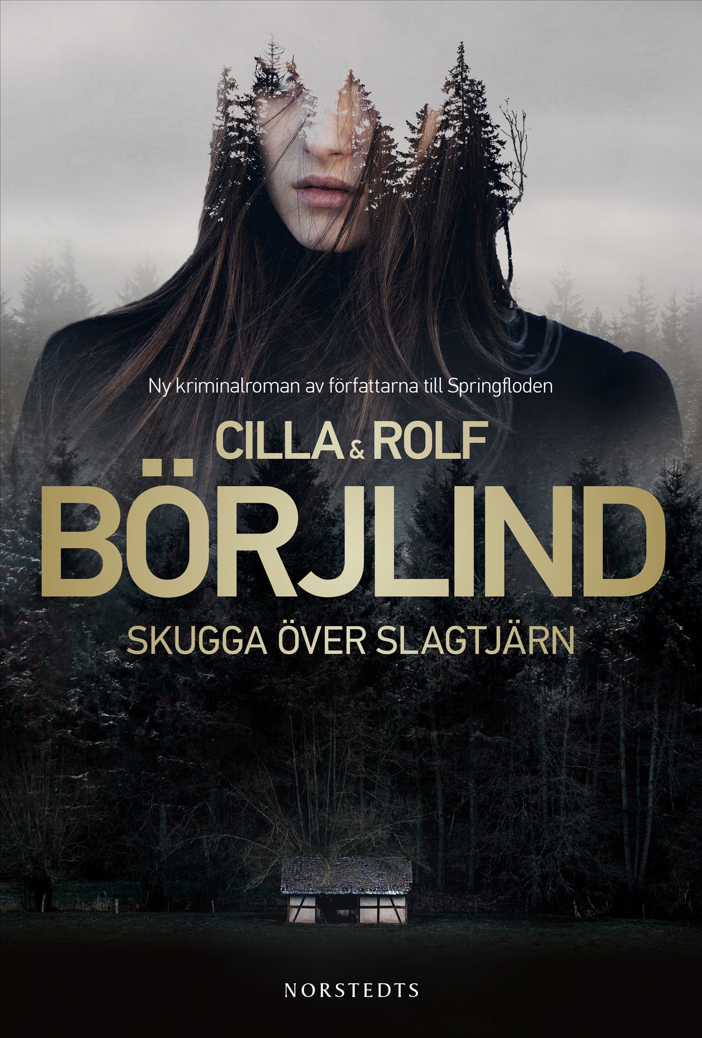 Skugga över Slagtjärn – E-bok