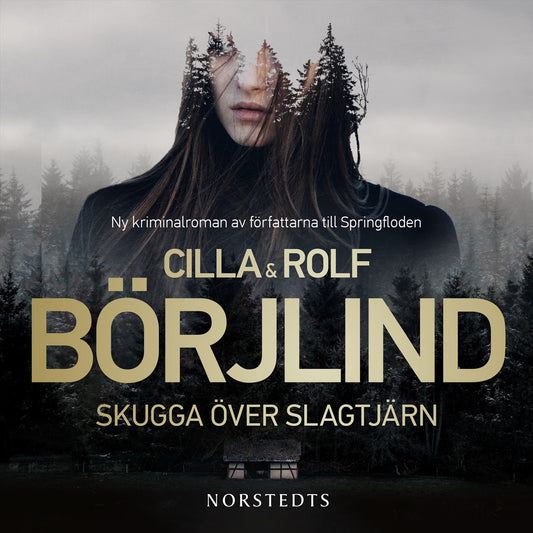Skugga över Slagtjärn – Ljudbok