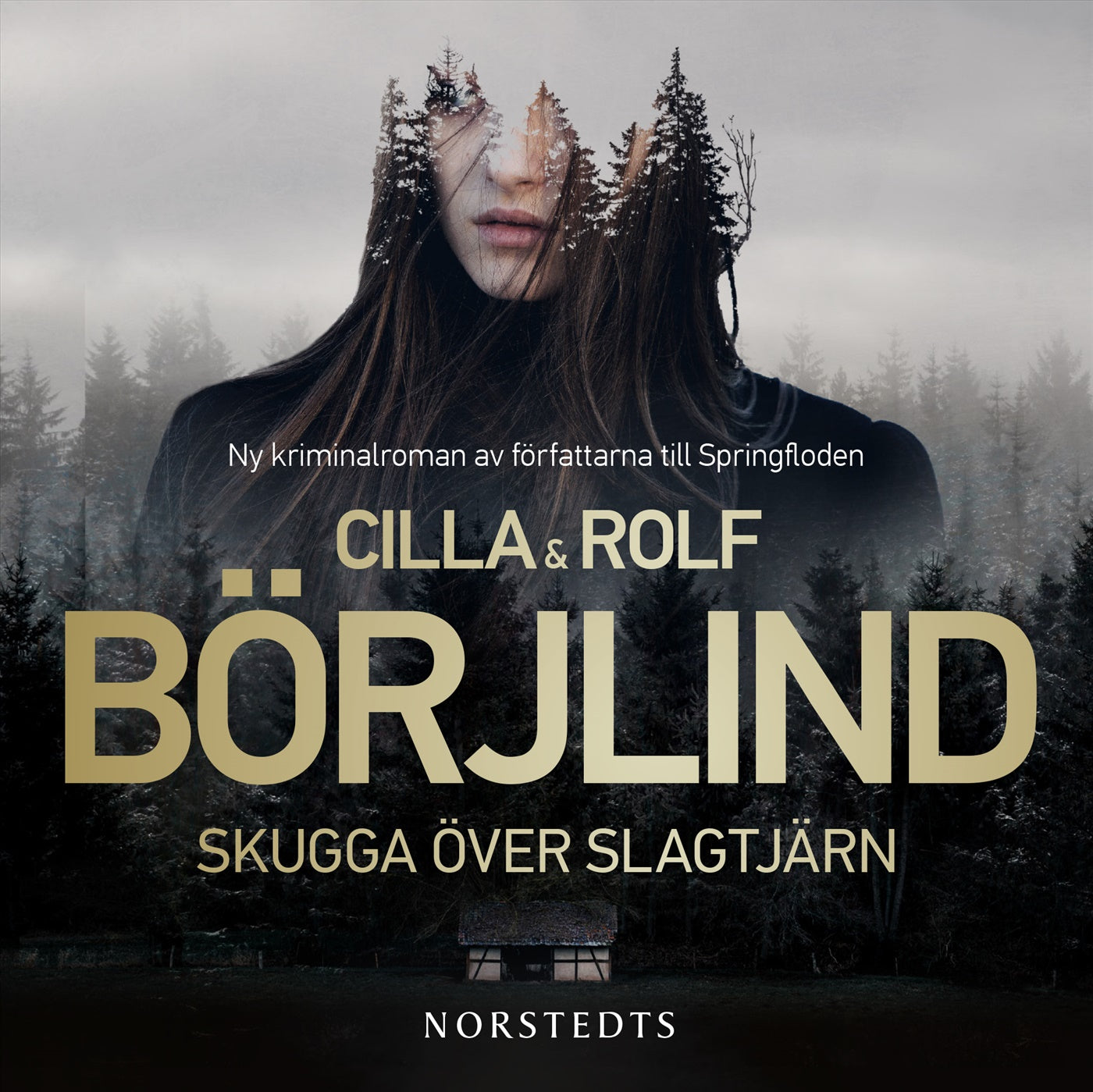 Skugga över Slagtjärn – Ljudbok
