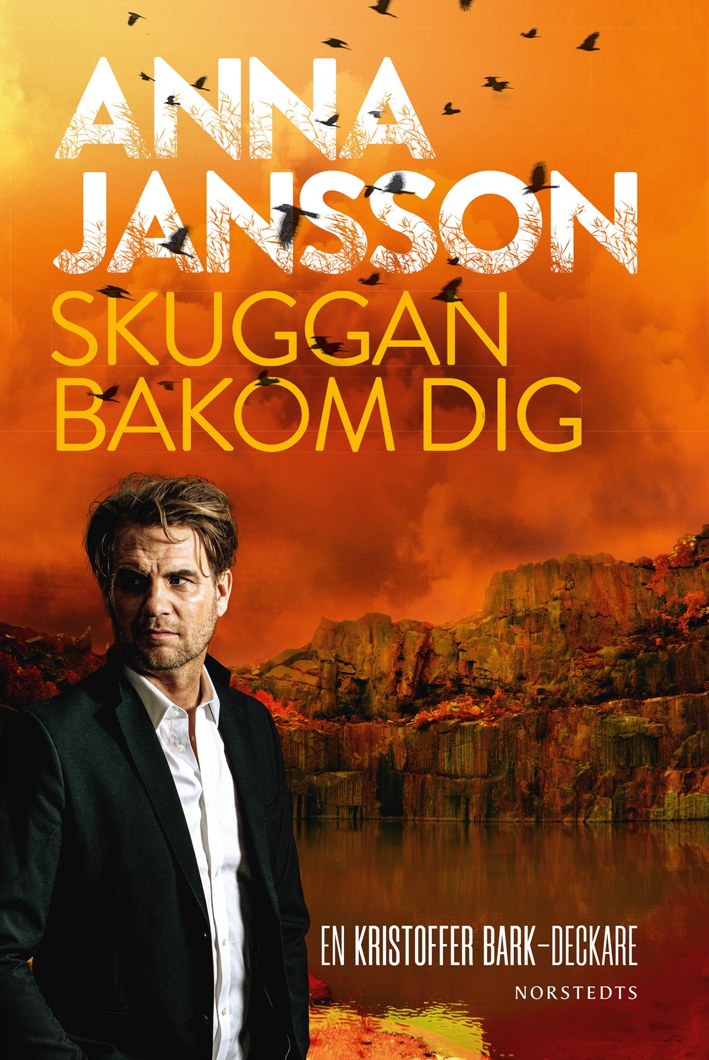 Skuggan bakom dig – E-bok