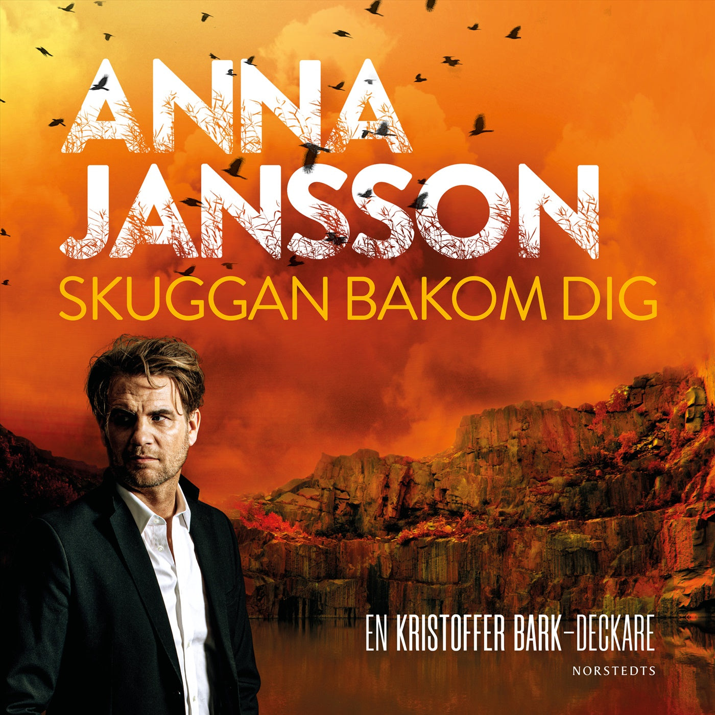 Skuggan bakom dig – Ljudbok