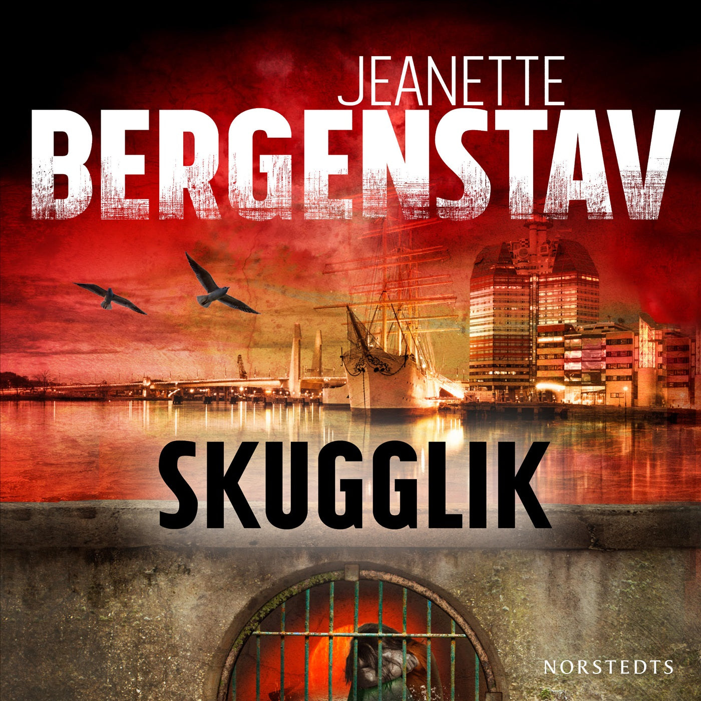 Skugglik – Ljudbok