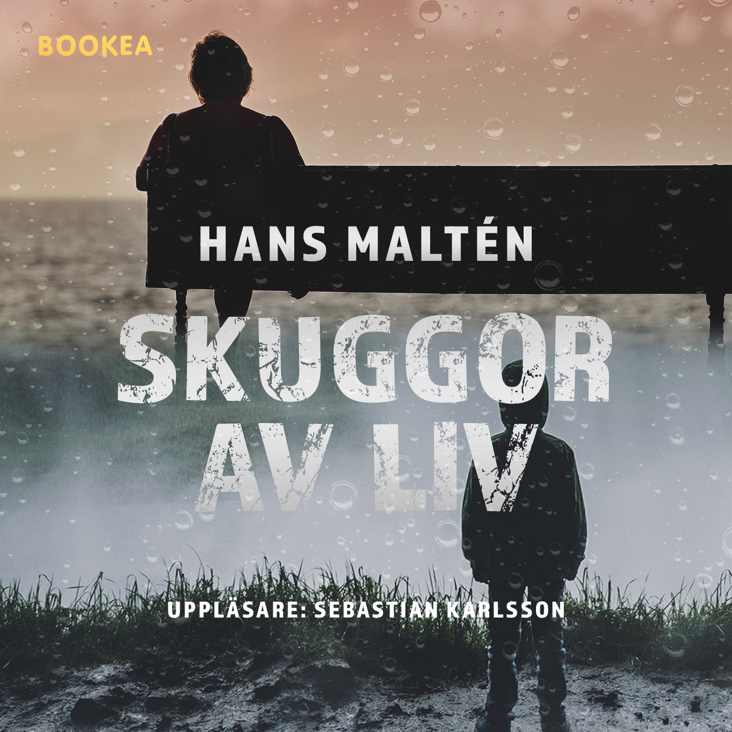 Skuggor av liv – Ljudbok