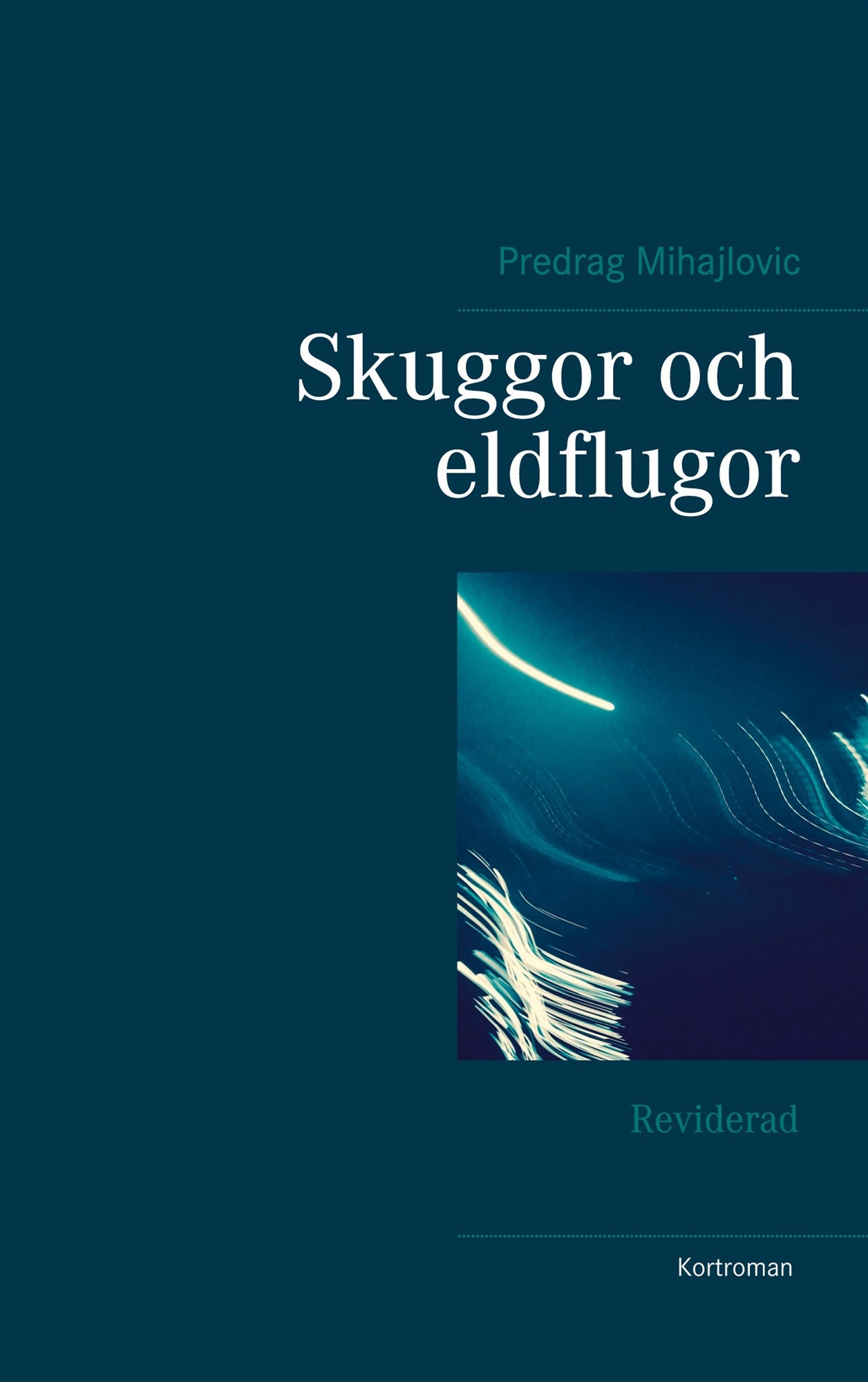 Skuggor och eldflugor: Reviderad – E-bok