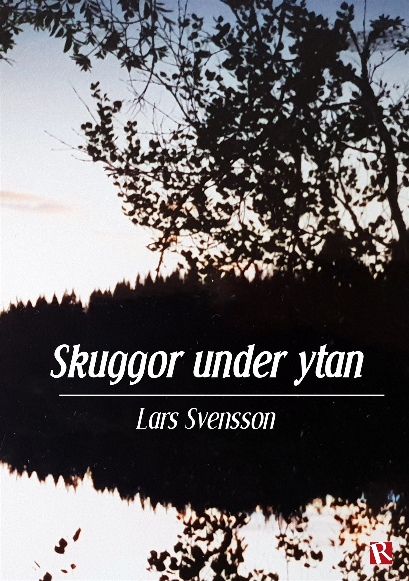 Skuggor under ytan – E-bok