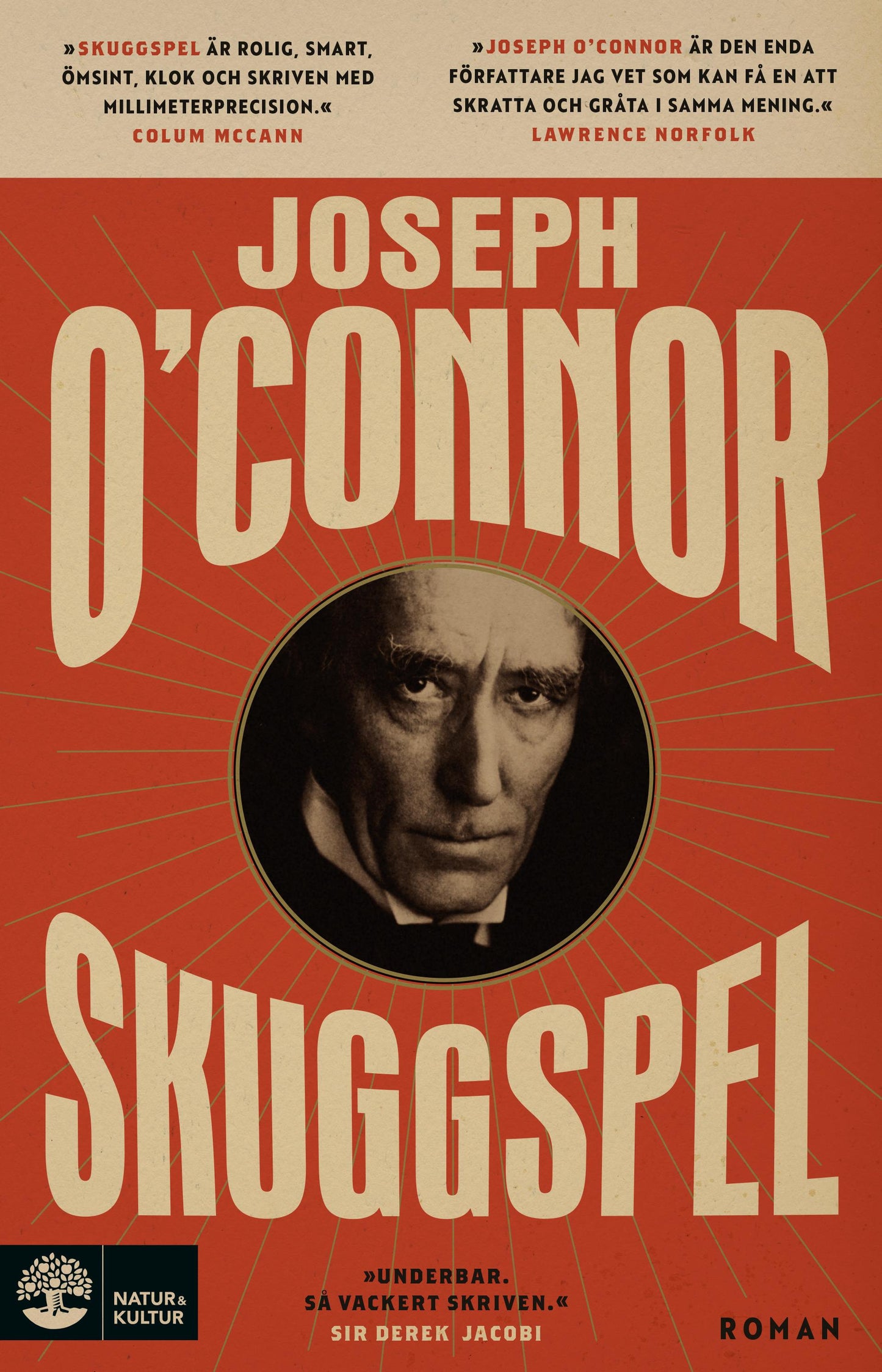 Skuggspel – E-bok