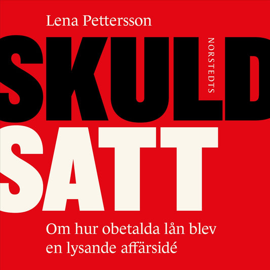 Skuldsatt : om hur obetalda lån blev en lysande affärsidé – Ljudbok