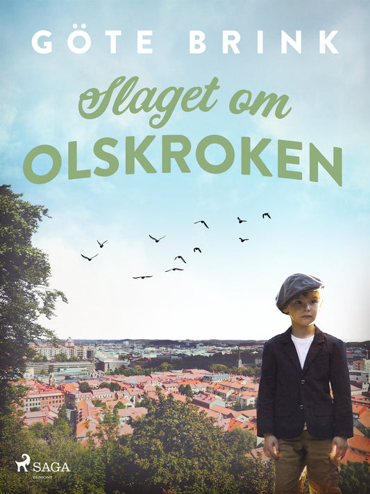 Slaget om Olskroken – E-bok