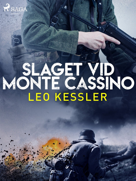 Slaget vid Monte Cassino – E-bok