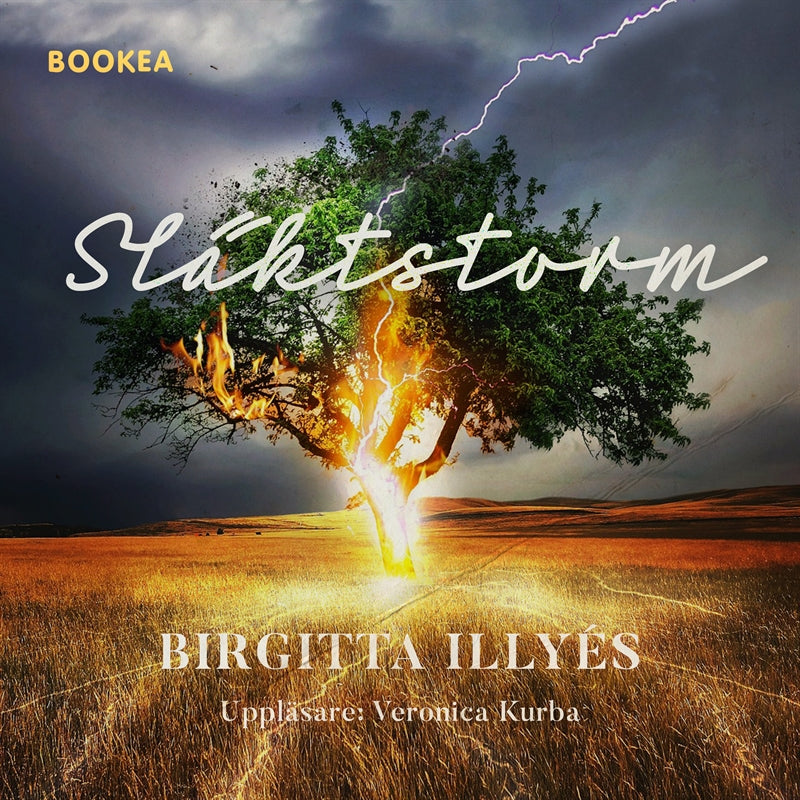 Släktstorm – Ljudbok