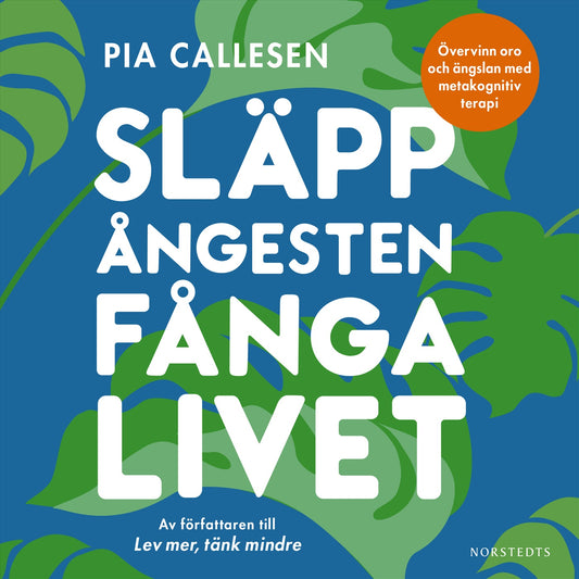 Släpp ångesten, fånga livet : övervinn oro och ängslan med metakognitiv terapi – Ljudbok
