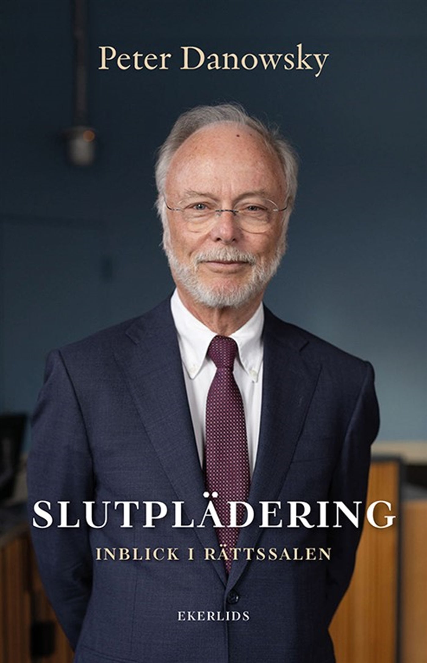 Slutplädering - inblick i rättssalen – E-bok
