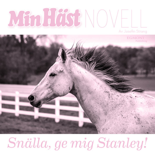 Snälla, ge mig Stanley! – Ljudbok