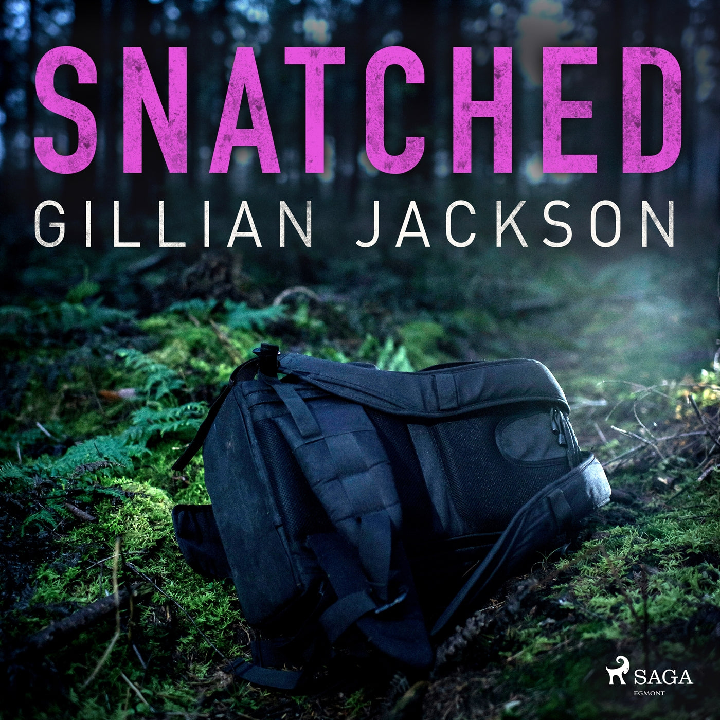 Snatched – Ljudbok