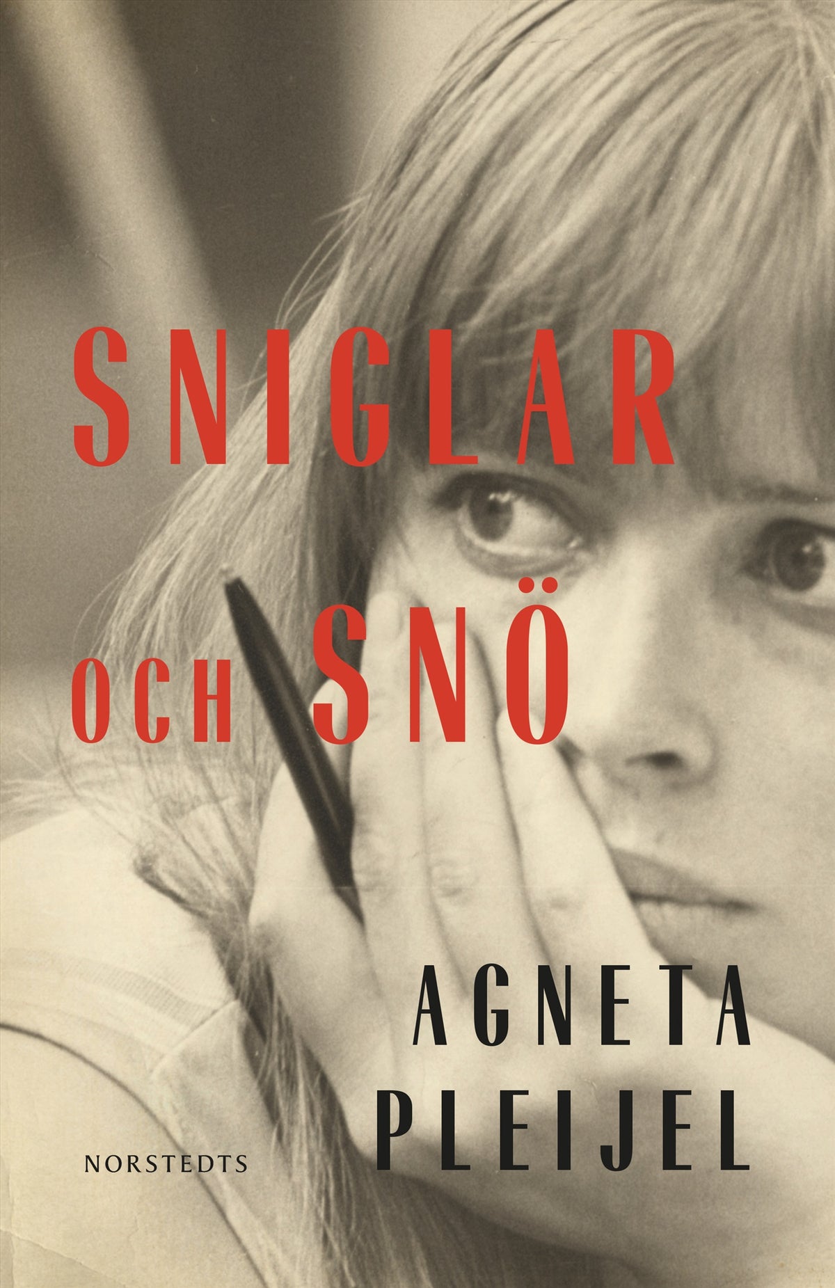 Sniglar och snö – E-bok
