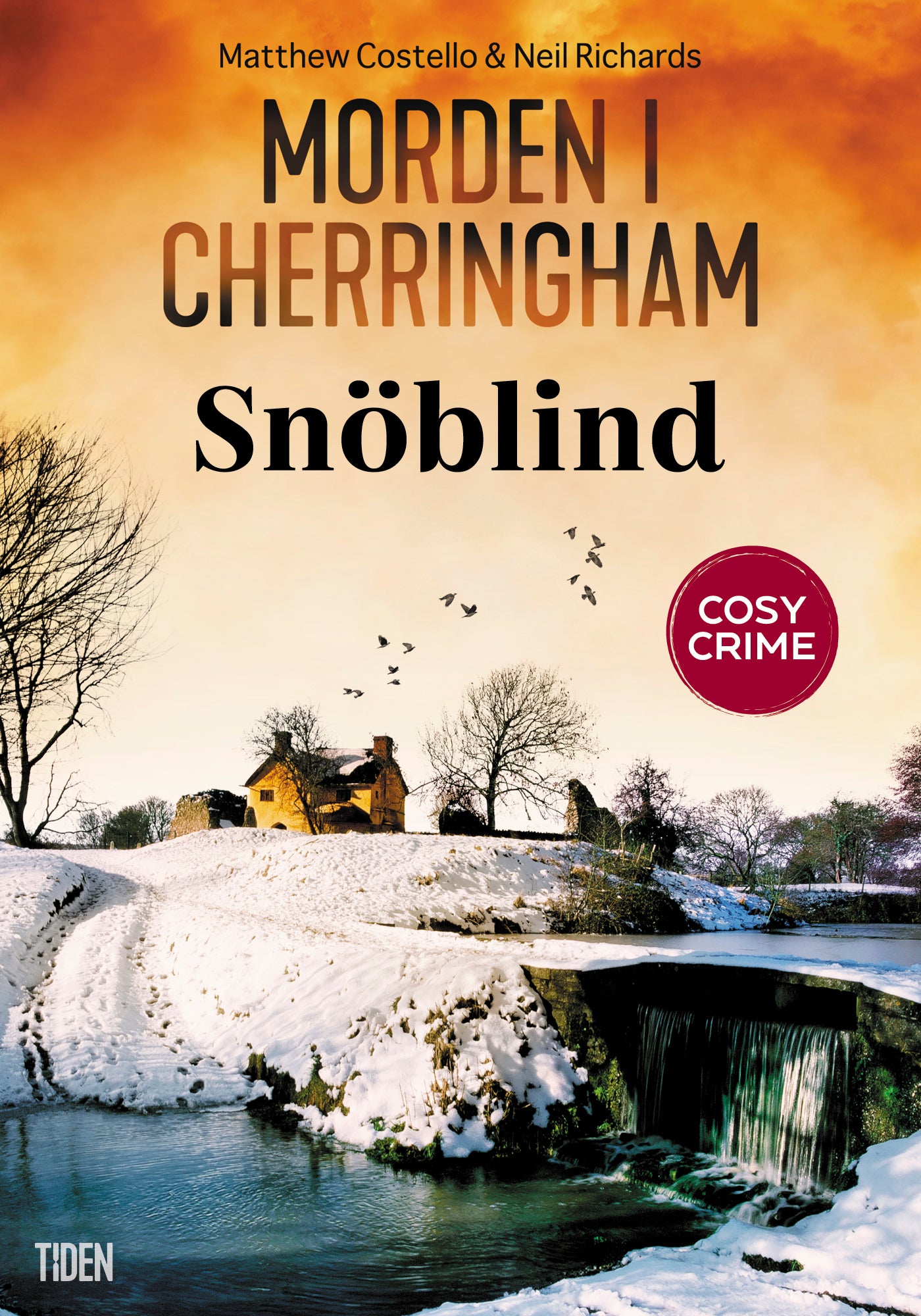 Snöblind – E-bok