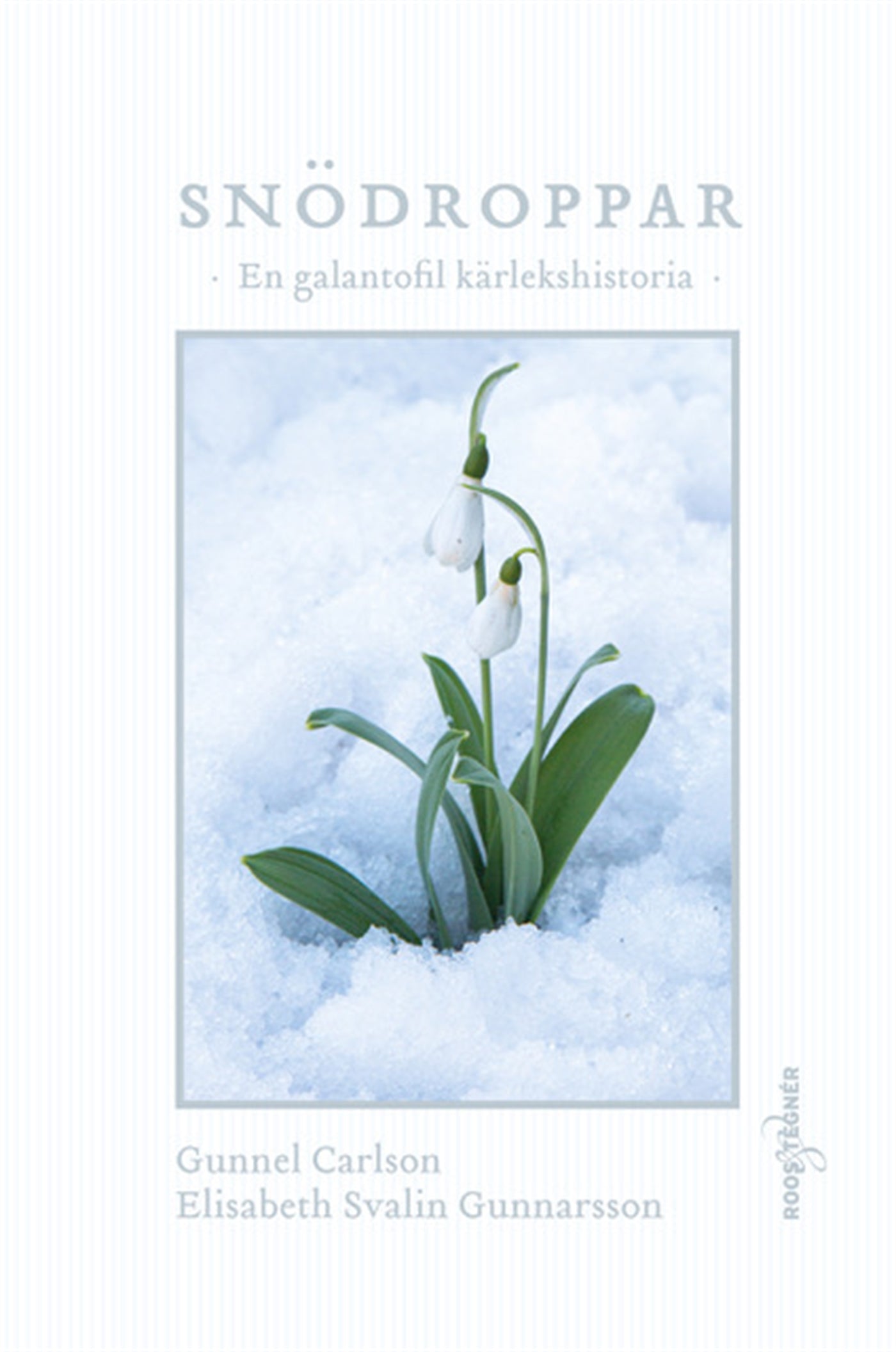 Snödroppar – E-bok