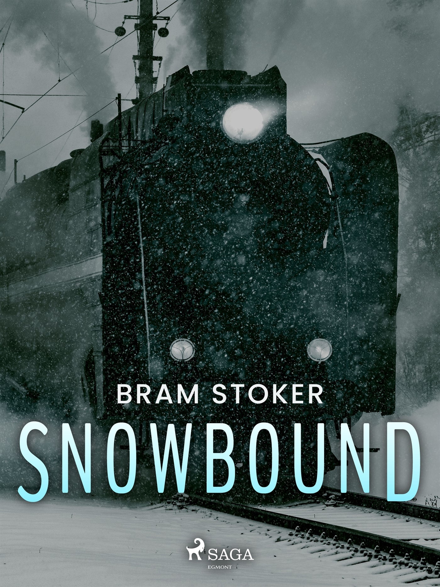 Snowbound – E-bok