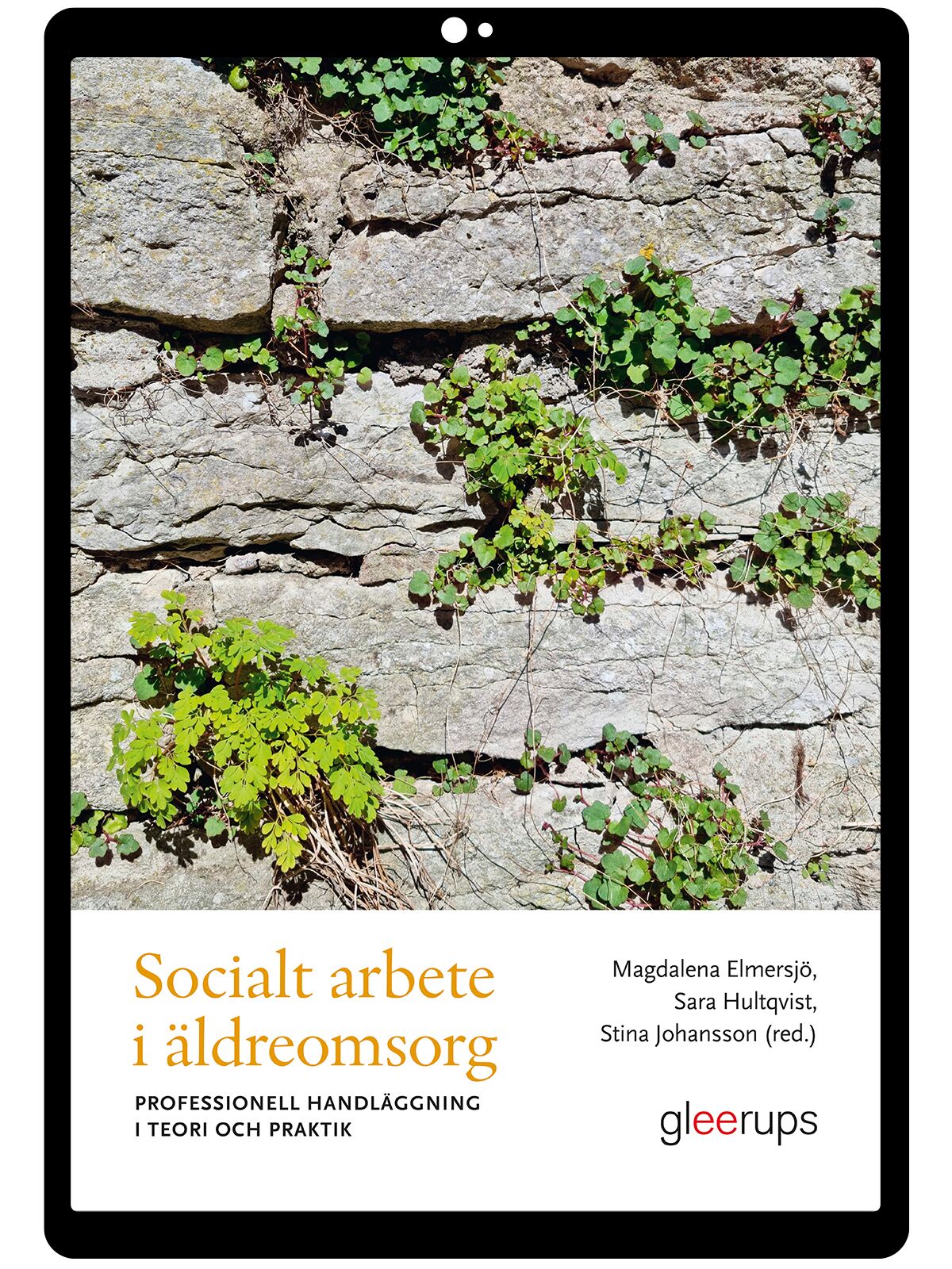Socialt arbete i äldreomsorg e-bok : professionell handläggning i teori och praktik
