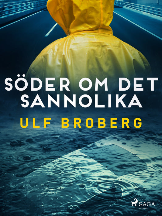 Söder om det sannolika – E-bok