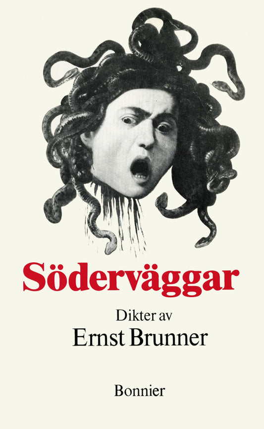 Söderväggar : Dikter – E-bok