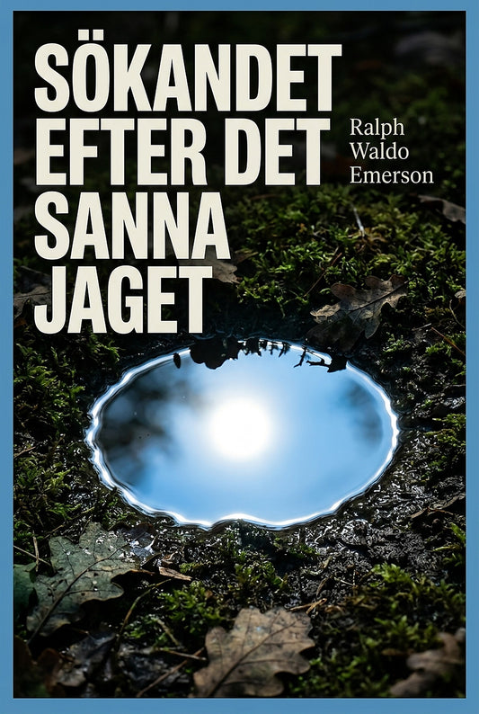 Sökandet efter det sanna jaget – E-bok